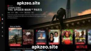 NetFree.cc APK