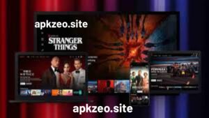 NetFree.cc APK